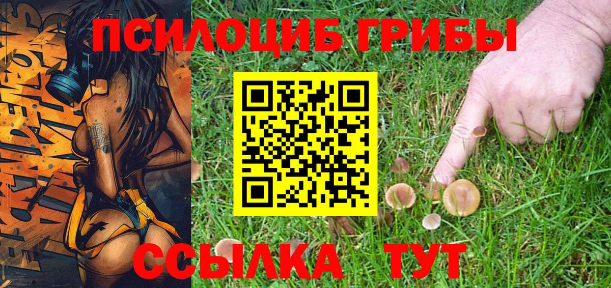 Галлюциногенные грибы MAGIC MUSHROOMS Строитель